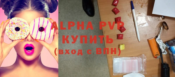 мет Алексин